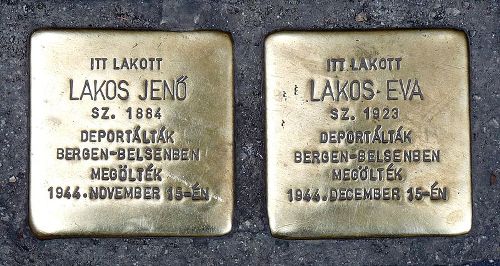 Stolpersteine Kis Stci utca 1 #1