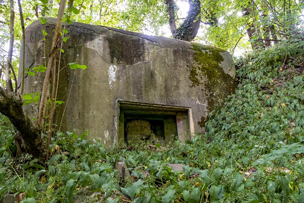 Defense Bunker VM1ter #3