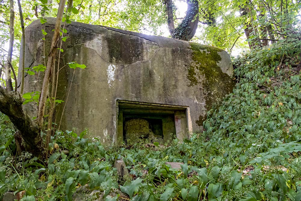 Verdedigingsbunker VM1 ter #3
