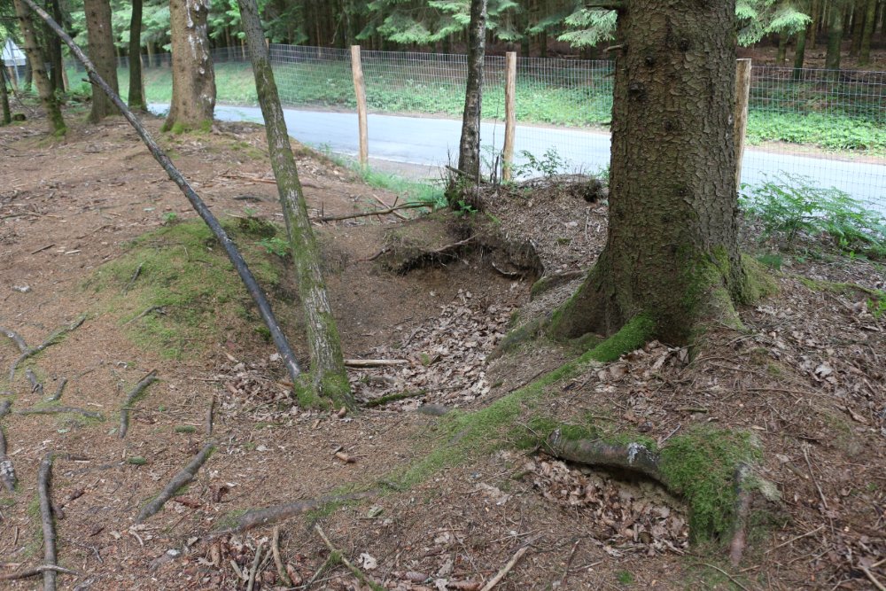 Foxholes 101st Airborne Division #7