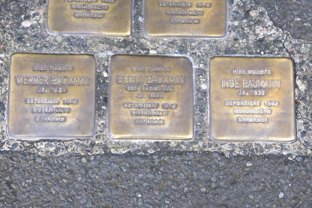 Stolpersteine Fabrikstrasse 4 #5