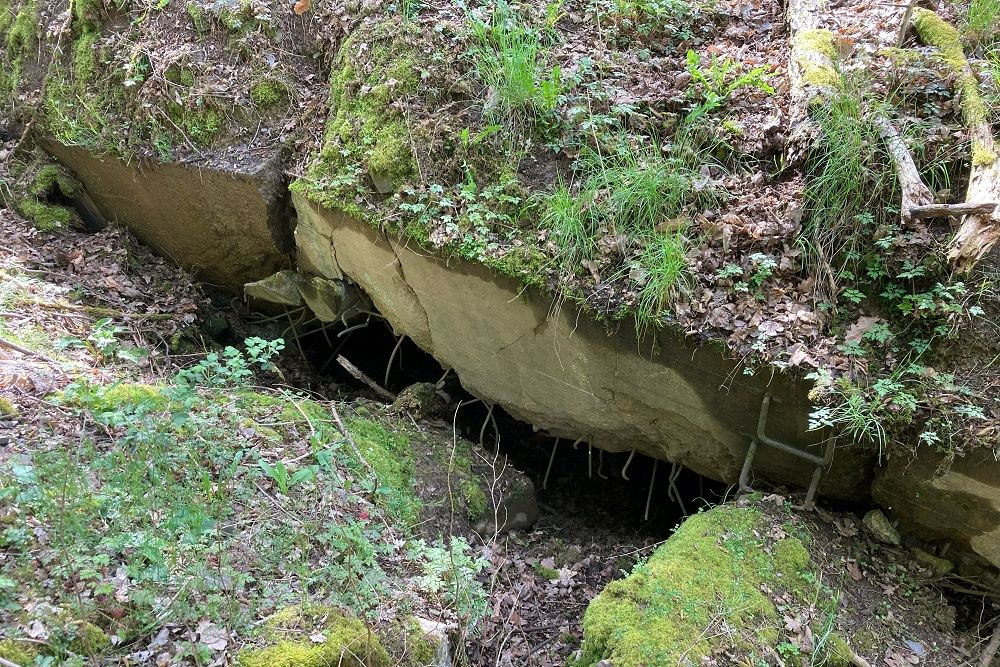 Schartenstand Bunker Obereisenbach