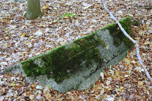 Remains German Bunker Groeneburg Wood #1