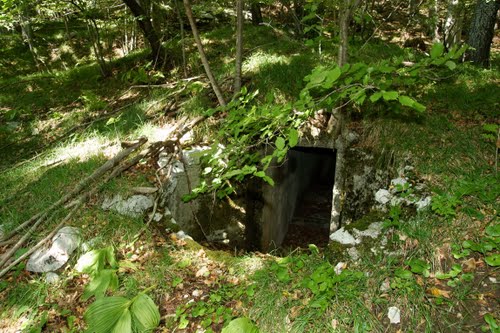 Alpenmuur - MG-Bunker Klana (A) #1