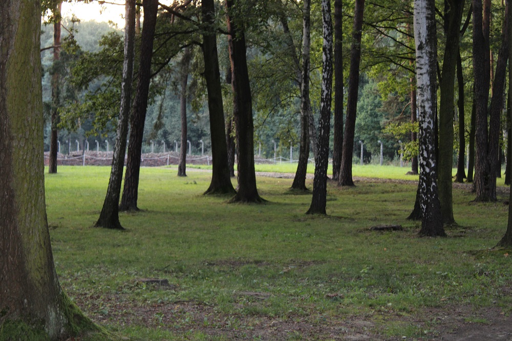 Auschwitz II Forest Waiting Place