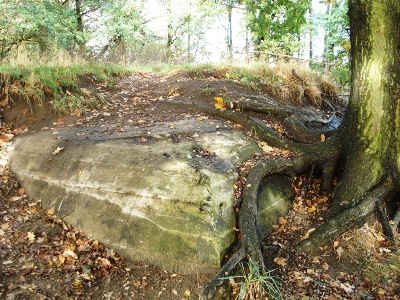 German 618-Bunker Antwerp #2