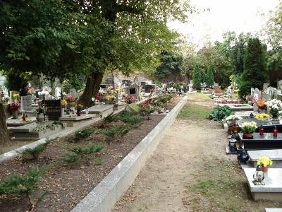 Mass Graves Victims National Socialism Poznan #2