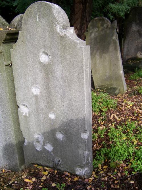 Jewish Cemetery Powzaki Warsaw #3