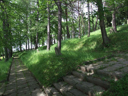 Russian-Austrian War Cemetery No.368 #1