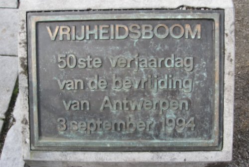 Bevrijdingsboom Antwerpen #2