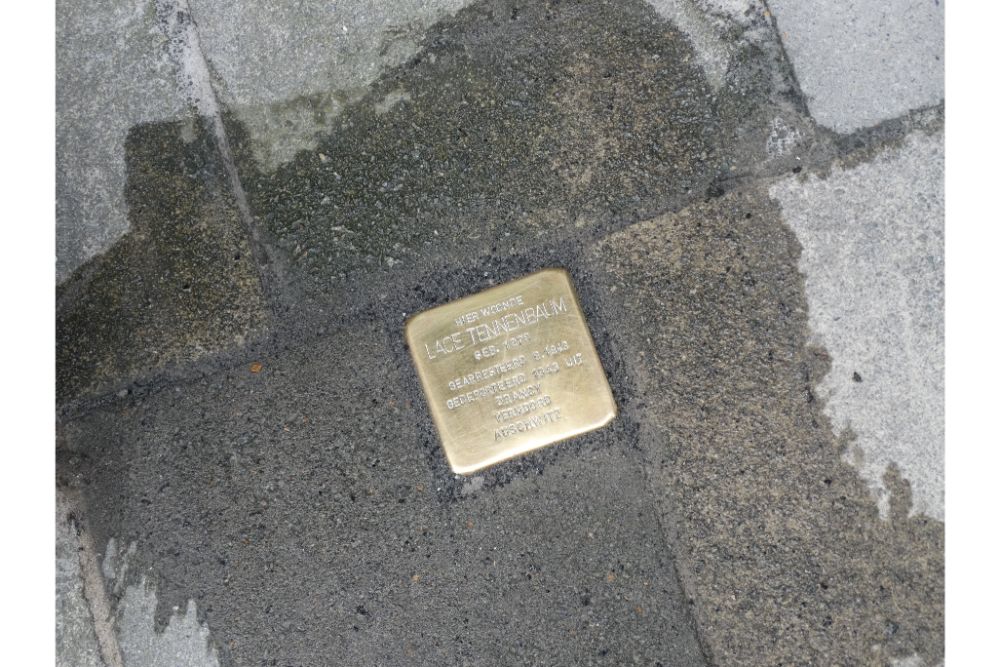 Stolperstein Generaal Capiaumontstraat 37 #1