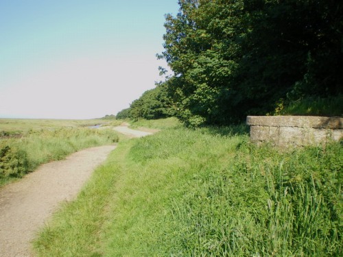 Bunker Stiffkey #1