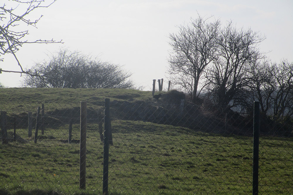 Westwall - Restanten Bunkers