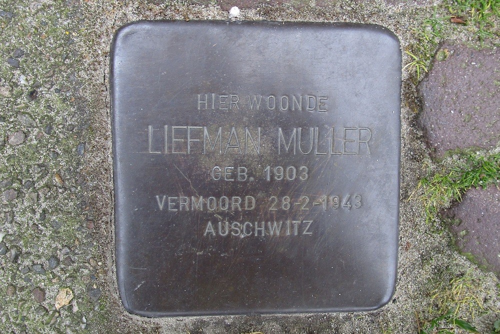 Stolpersteine Dennenbosweg 88 #2