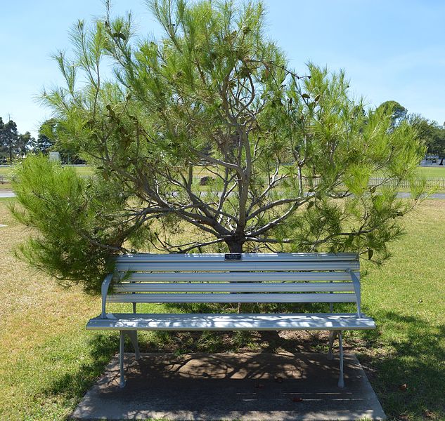 War Memorial Cootamundra #2