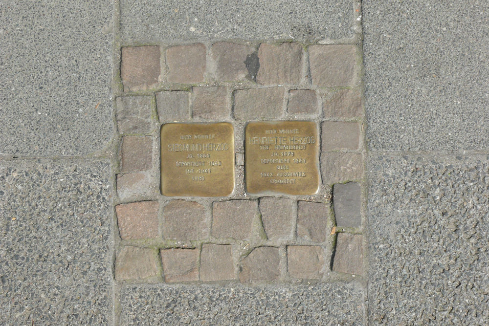 Stolpersteine Neumarkt 10 #2