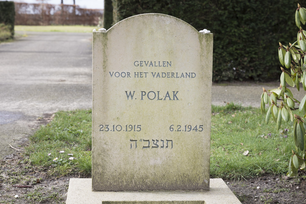 Dutch War Graves General Cemetery Wijhe #1