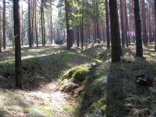 Ostwall - German Trench #1