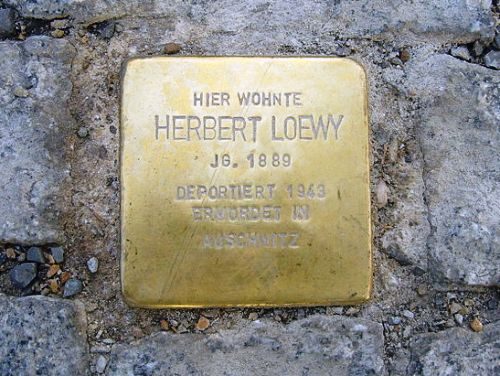 Stolperstein Markt 5 #1