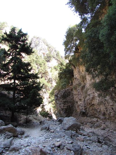 Imbros Gorge #4