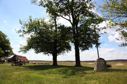 De Zwerfkei op de Ginkelse Heide #3