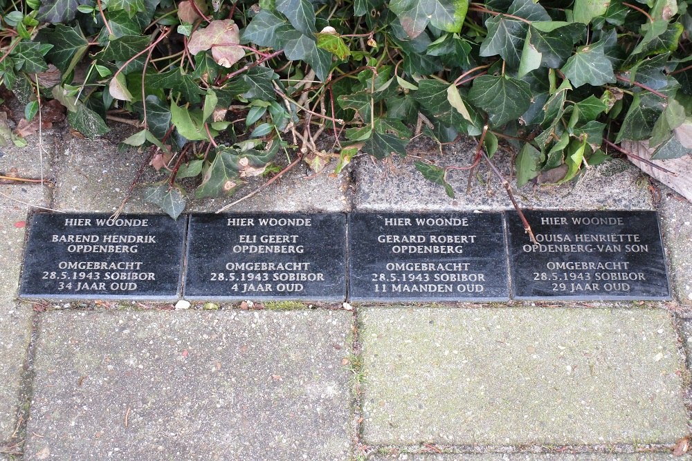 Remembrance Stones Burgemeester Tutein Noltheniuslaan 52 #1