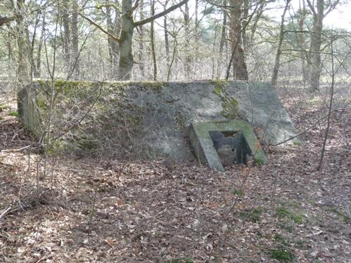 Group Shelter Type 1918/I De Fransche Kamp #1