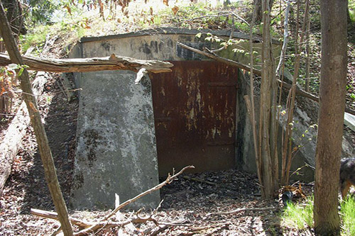 Skavlinie - Fort Magelung #5
