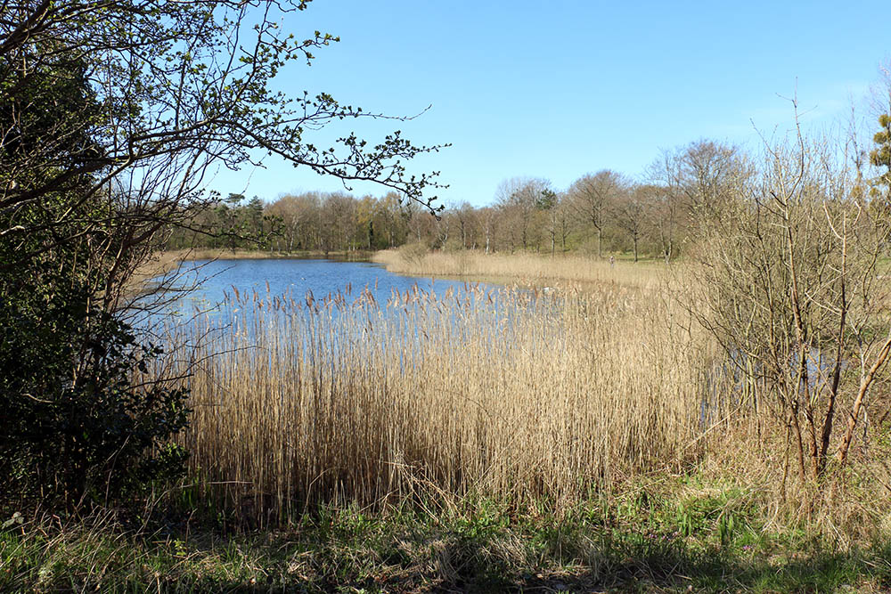 Sand Excavation Tenellaplas