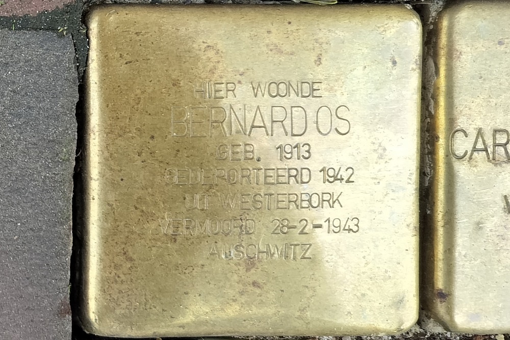 Stolpersteine Zwaanshals 321b #2