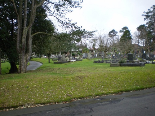 Commonwealth War Graves Cwmgelly Cemetery #1