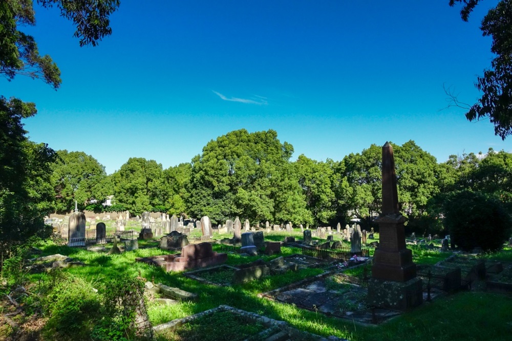 Commonwealth War Grave Carlingford Anglican Cemetery