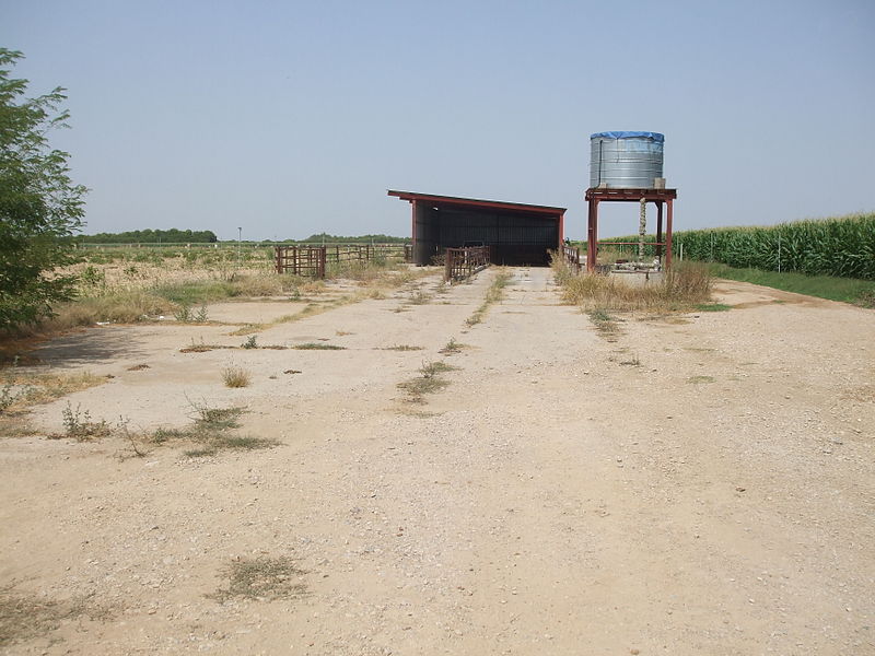 Remains Sariñena Airfield