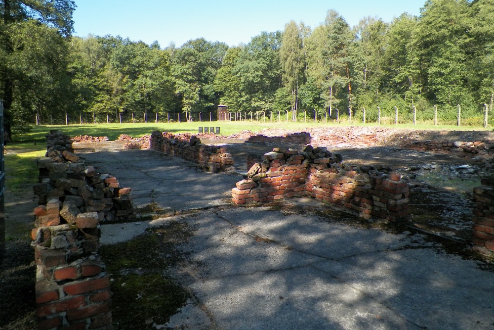 Restanten Gaskamer 5 Auschwitz II (Birkenau) #4