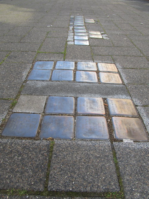 Stumbling Stones Görresstraße 15 #5