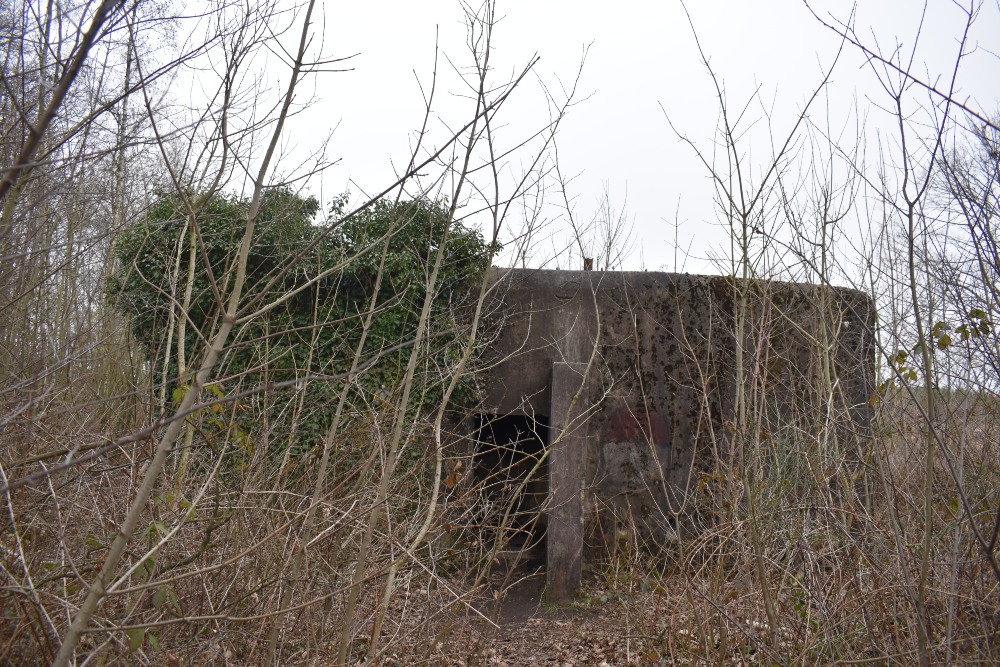 Diepenbeek Lock Bunker D2 #3