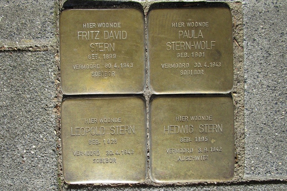 Stolpersteine Koningsweg 49 #3