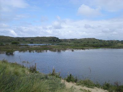 Monument 199 Verzetsleden Zuid-Kennemerland #5