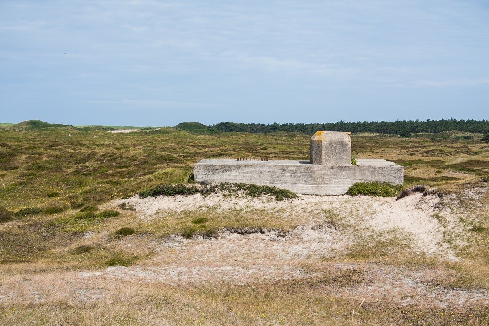 Batterij Den Hoorn (BP 19b) - Dutch Gun Emplacement