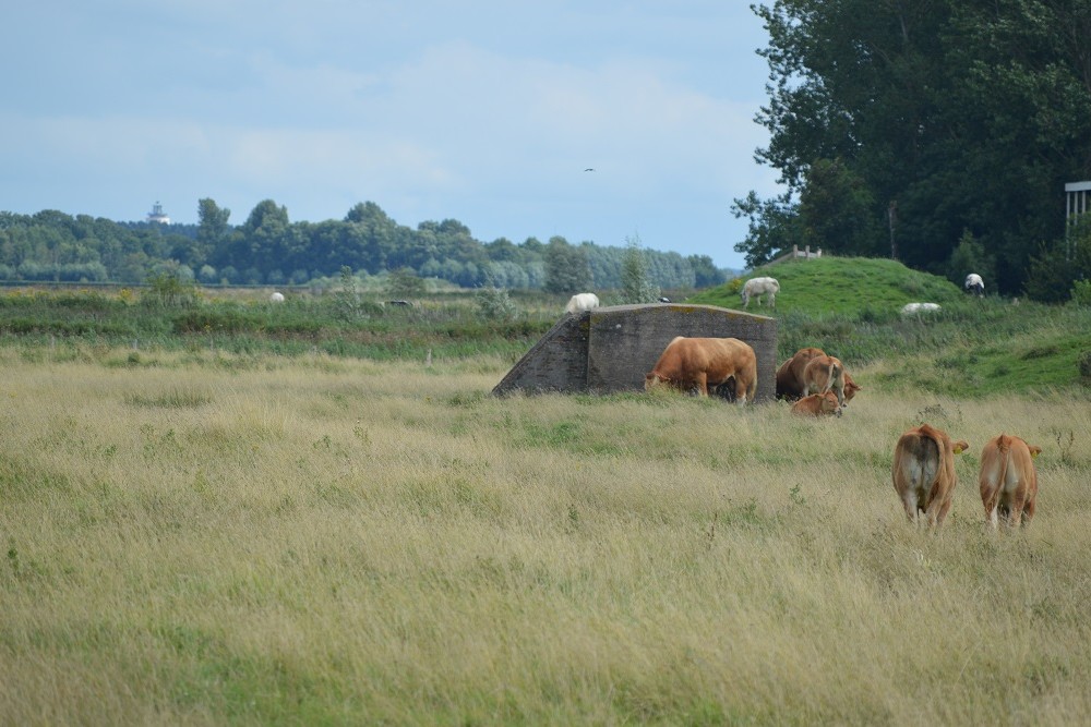 Bunker Vf Ammunition. Cadzand #2