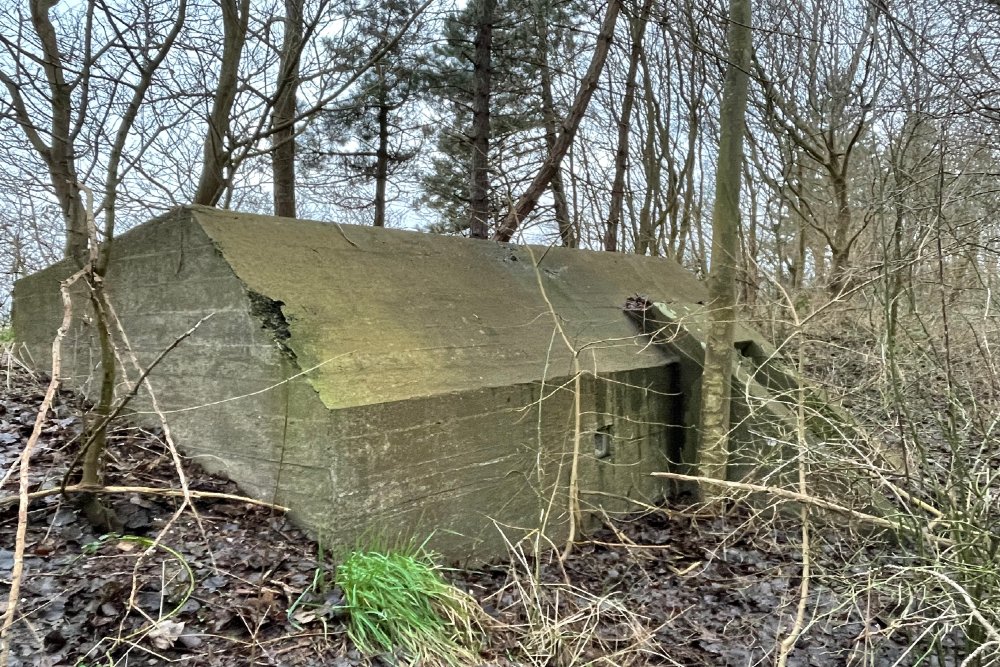 Group Shelter Type 1918/I Velserbroek