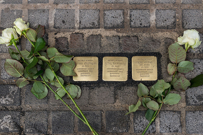 Stumbling Stones 15 Rue de la Grève nationale #1