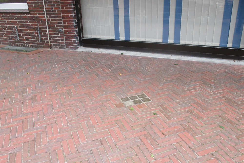 Stolpersteine Mühlenstrasse 50 #5