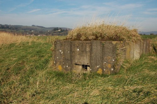 Pillbox FW3/26 Arlingham #1