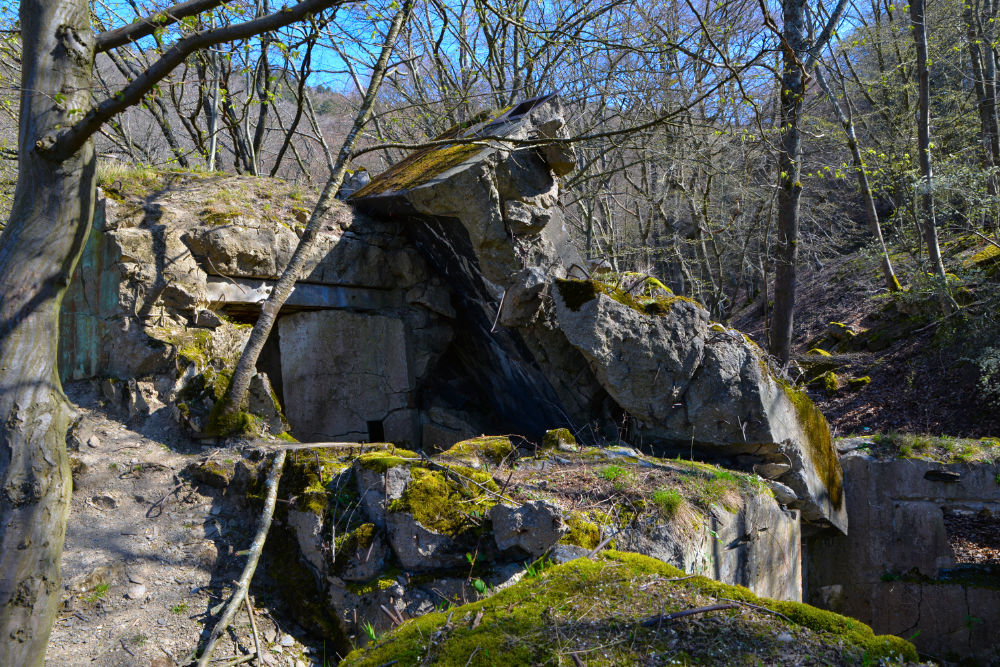 Bunker 302 Westwall Kermeter #5