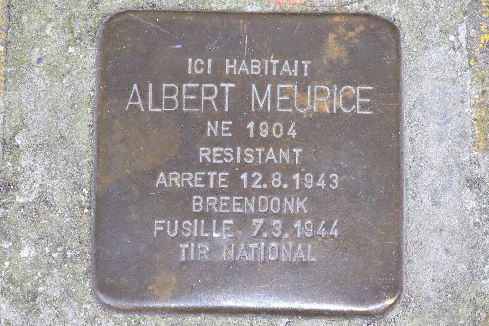 Stolperstein Albert Meuricestraat 15 #1