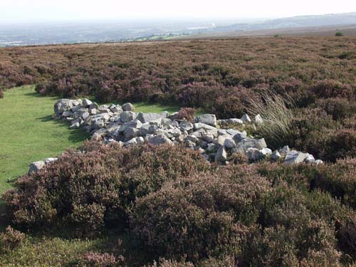 Crashlocatie Bristol Beaufighter Llantysilio