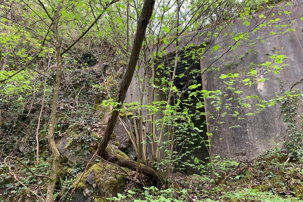 Bunker CSY Sougné-Remouchamps #1