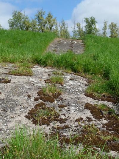 Tank Barrier Lage Zwaluwe