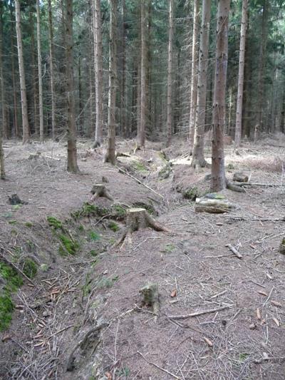 Loopgraven Meroder Wald #3